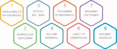 雙收網(wǎng)絡(luò)與豬八戒網(wǎng) 探索企業(yè)快速建站與精美設(shè)計的雙贏之道